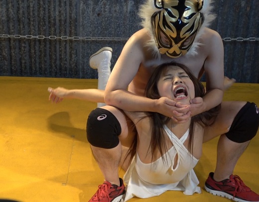 ���؂݂ꂢvs�ϑԂl�j1