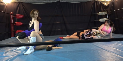 �~�b�N�X�_�u���X�퓬�t�G�r�ł�