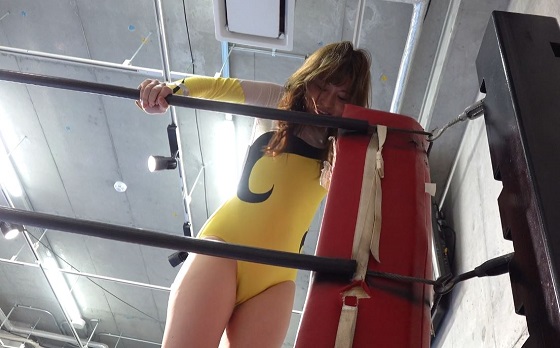 ���䃌�C�����_�̏��q�v�����X19