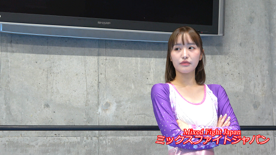 �S�i����ȃ~�b�N�X�t�@�C�g1