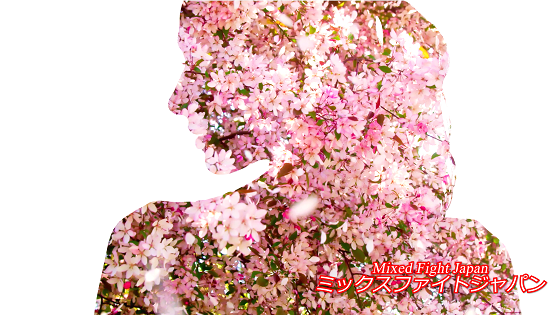 �S�i����ȃ~�b�N�X�t�@�C�g1