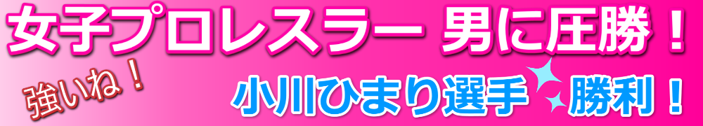 ���q���X���[����Ђ܂�VS���^�{���o�[10