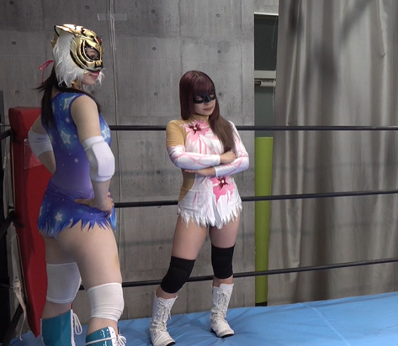 ���q�v�����X�̌��E1