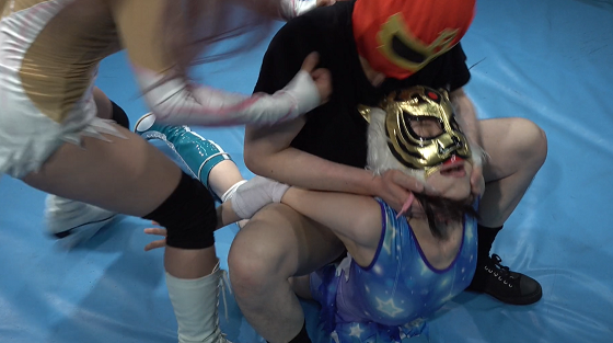 ���q�v�����X�̌��E17