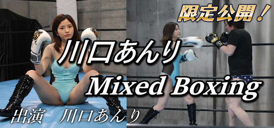 Mixed boxing21