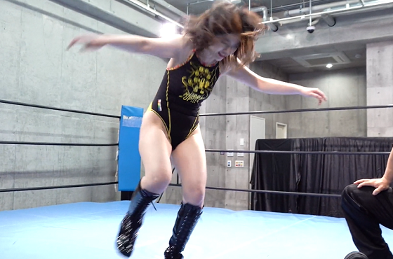 �������菗�����v�����X14