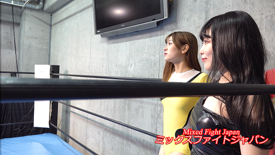 ���䃌�C�����@�̃v�����X2