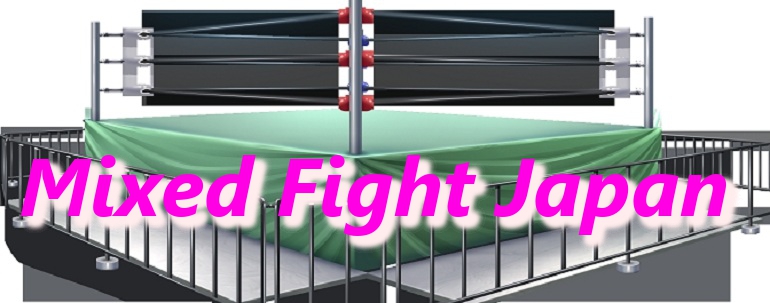 ミックスファイトジャパン