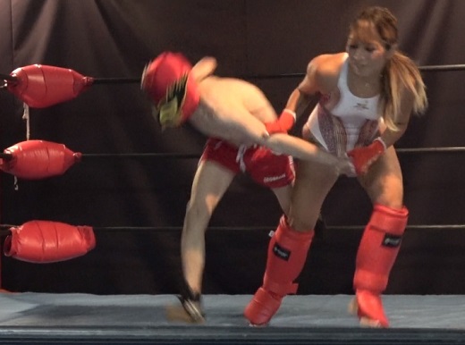 �㌴�ԗ��ɂ��ł������n��Ȓj��