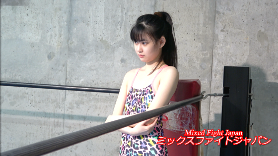 �u���W�����q�̏���2